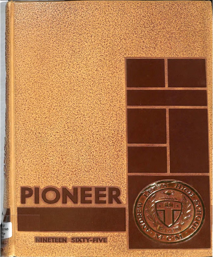 Pioneer1965.pdf