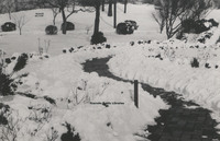 Davis 1.96 Snow in Elmwood.jpg