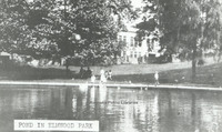 Davis GL 14 Pond in Elmwood Park.jpg