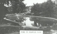 Davis GL 69 Pond in Elmwood Park.jpg